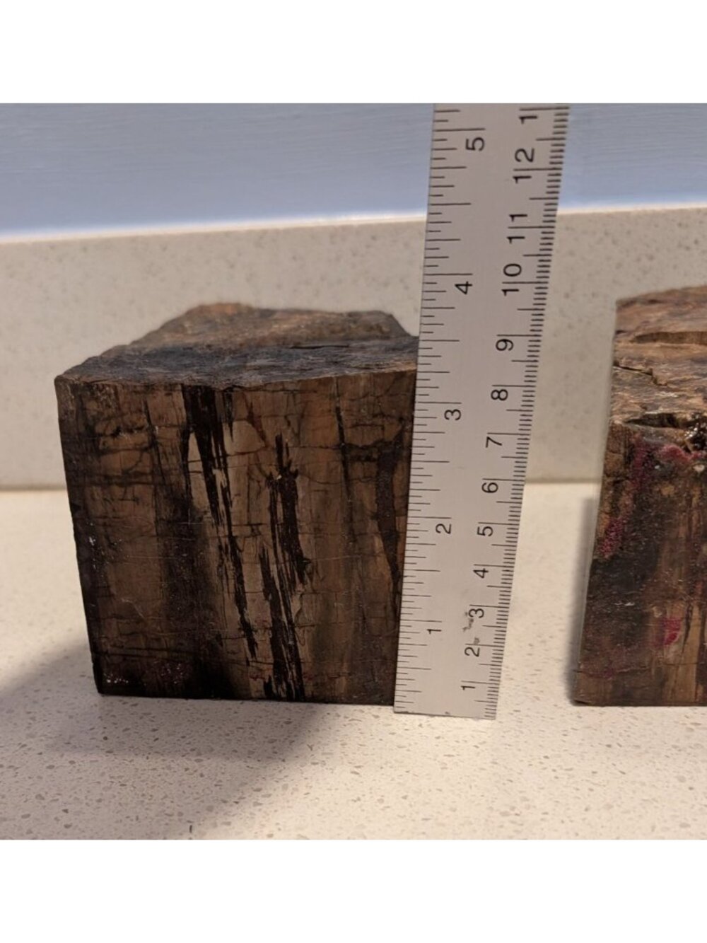 Petrified Wood Bookends Fossilized Tree Rings Natural Mineral Patterns 6" Rustic - Picture 16 of 16